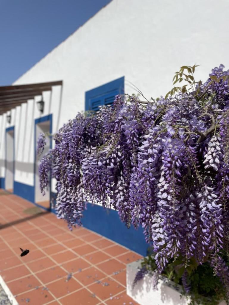 مبيت وإفطار أفيس Montes De Charme المظهر الخارجي الصورة